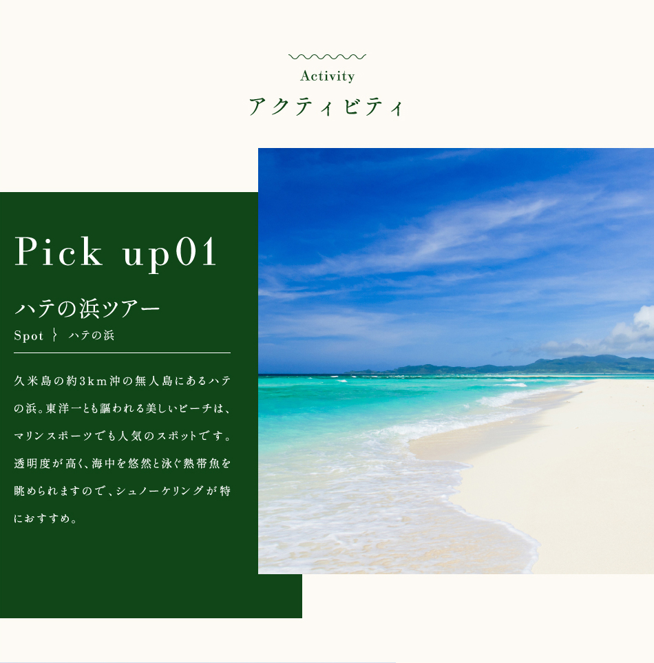 アクティビティ