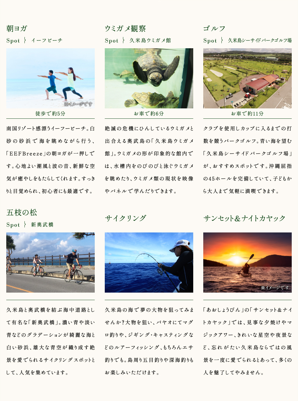 アクティビティ