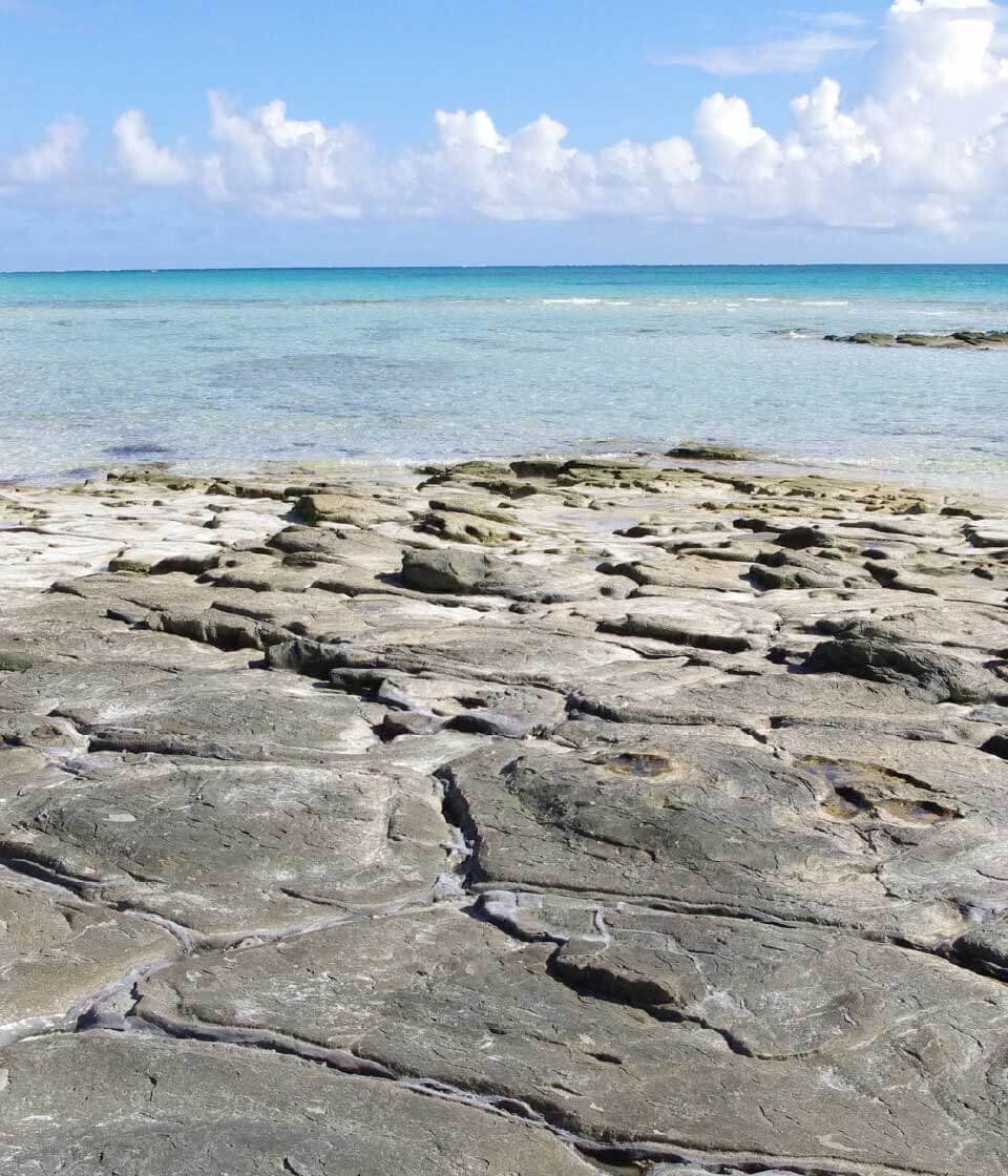 海岸の景色