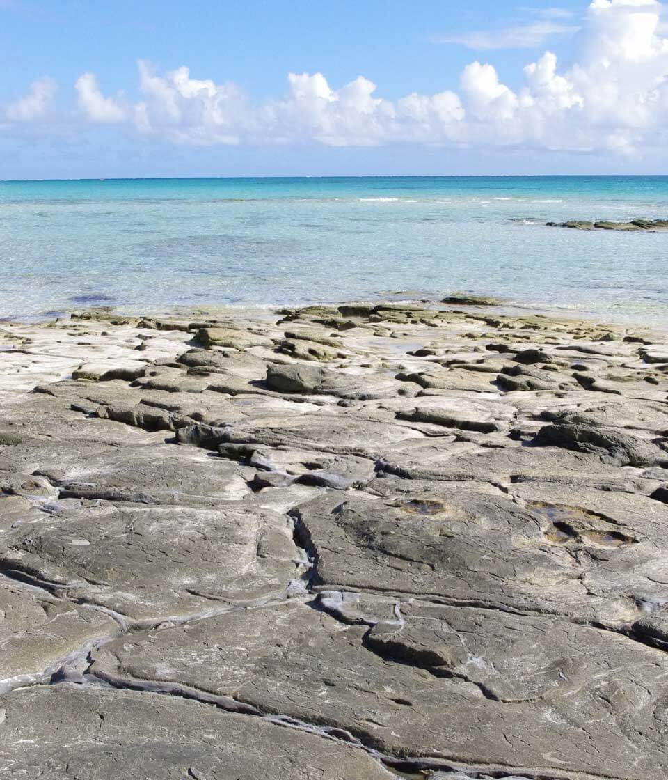 海岸の景色