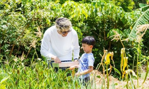 K's Garden&島ぬ家〜おかえり