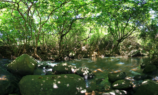 白瀬川